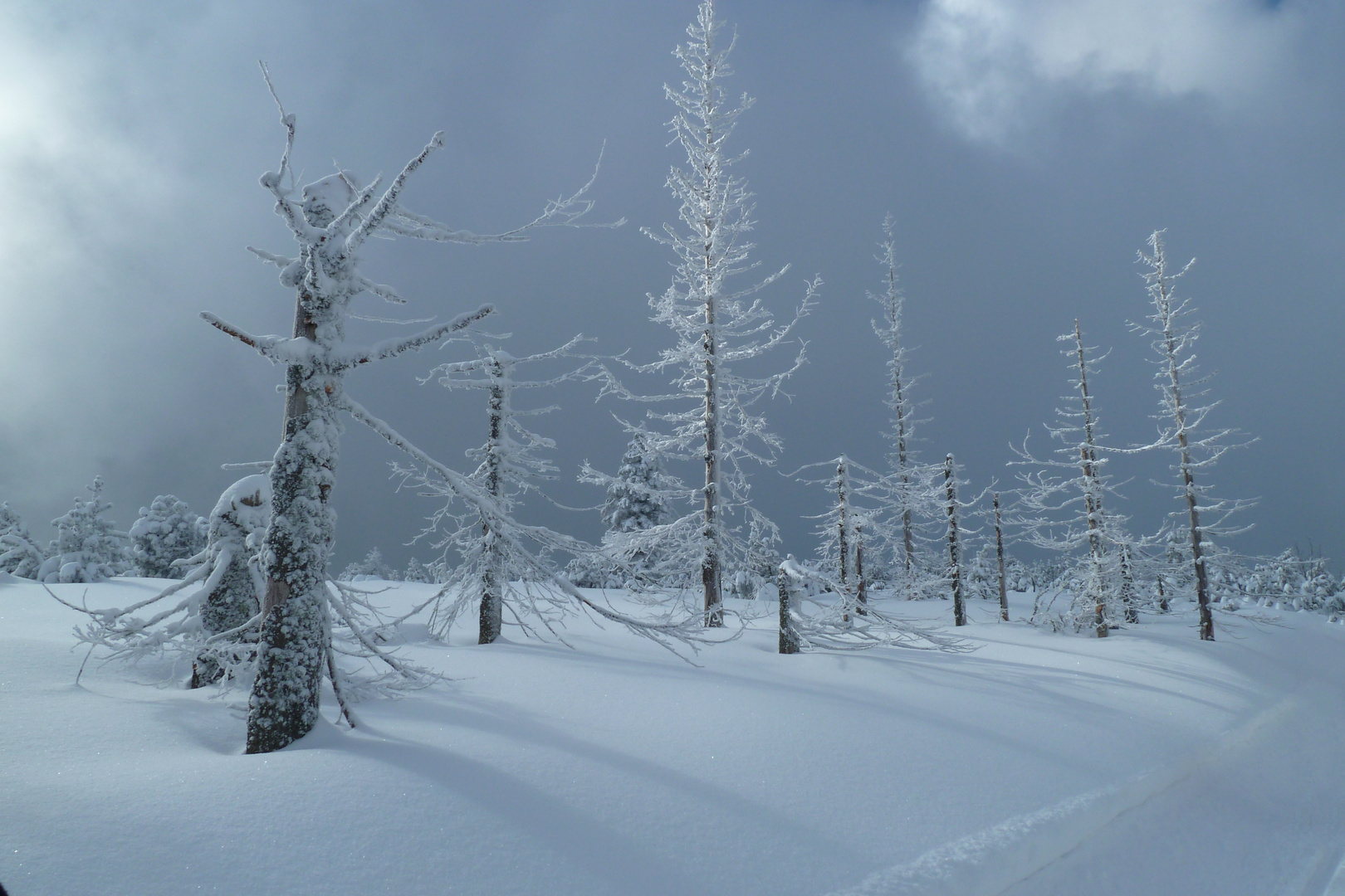 Skitour im schönen Schwarzwald