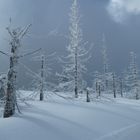 Skitour im schönen Schwarzwald