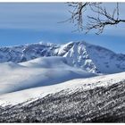 Skitouren in Lappland