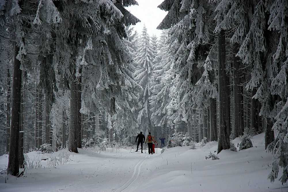 Skiwandern im Märchenwald