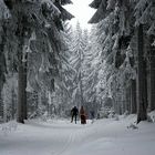 Skiwandern im Märchenwald