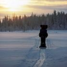 Skiwandern in Lappland, mit der Pulka unterwegs