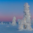 Skiwanderung im Riesengebirge