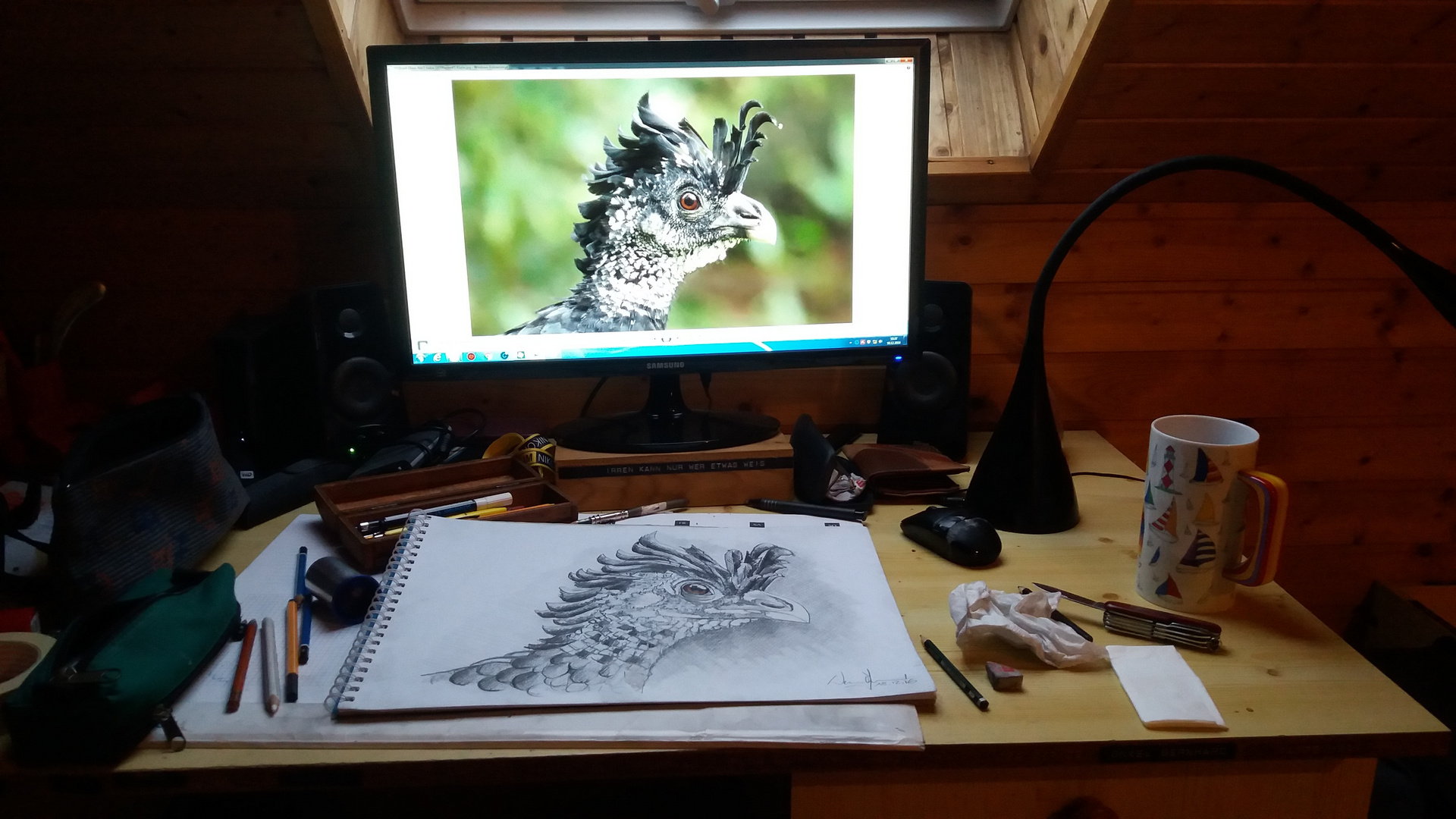 Skizzenvorlage Tuberkelhokko Foto Bild Aqua Grafik Tiere Grafik Dokumentation Bilder Auf Fotocommunity