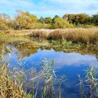 Skjern im Herbst