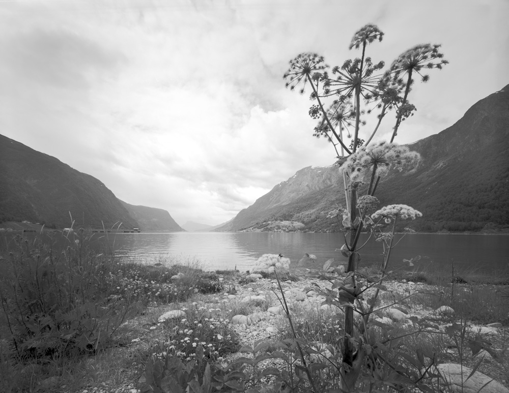 Skjolden, Ende des Sognefjords