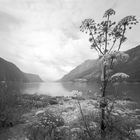 Skjolden, Ende des Sognefjords