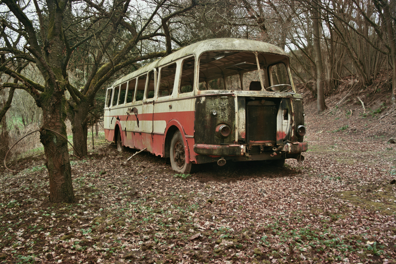 Skoda Bus