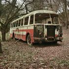 Skoda Bus