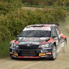 Skoda Fabia R5 Part II