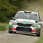 Skoda Fabia R5 Part IV