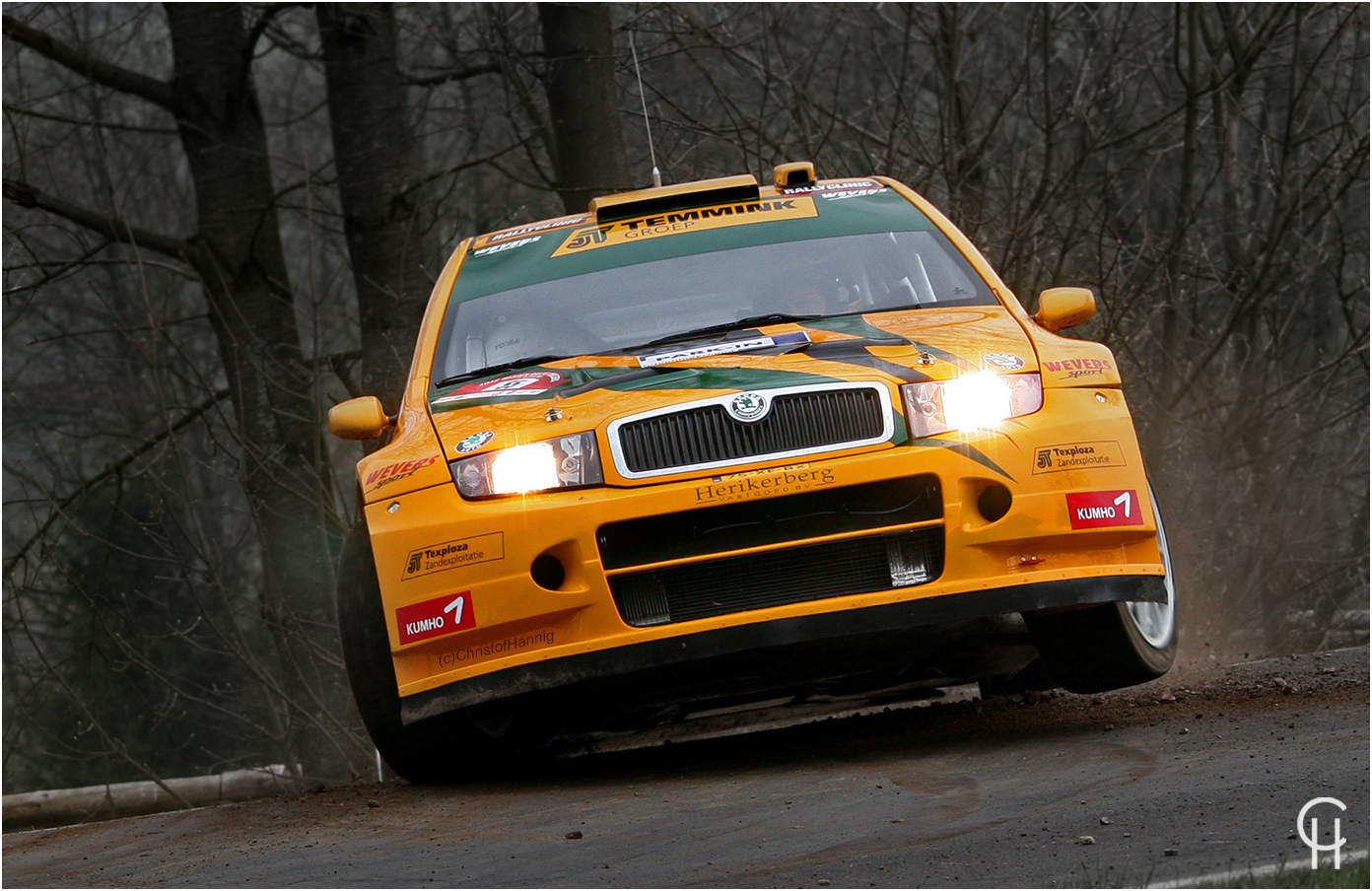 Skoda Fabia WRC - Hessen Rallye Vogelsberg 2008