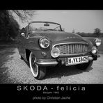 SKODA felicia s/w