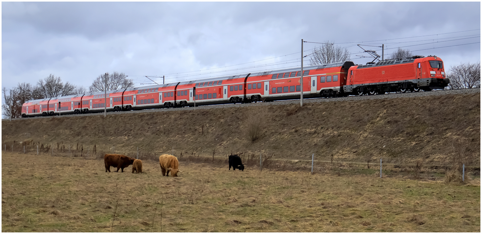 Skoda-Garnitur auf ihrer Hausstrecke!  