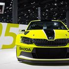 SKODA R5