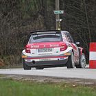 Skoda Rallye