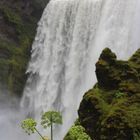 Skogafoss