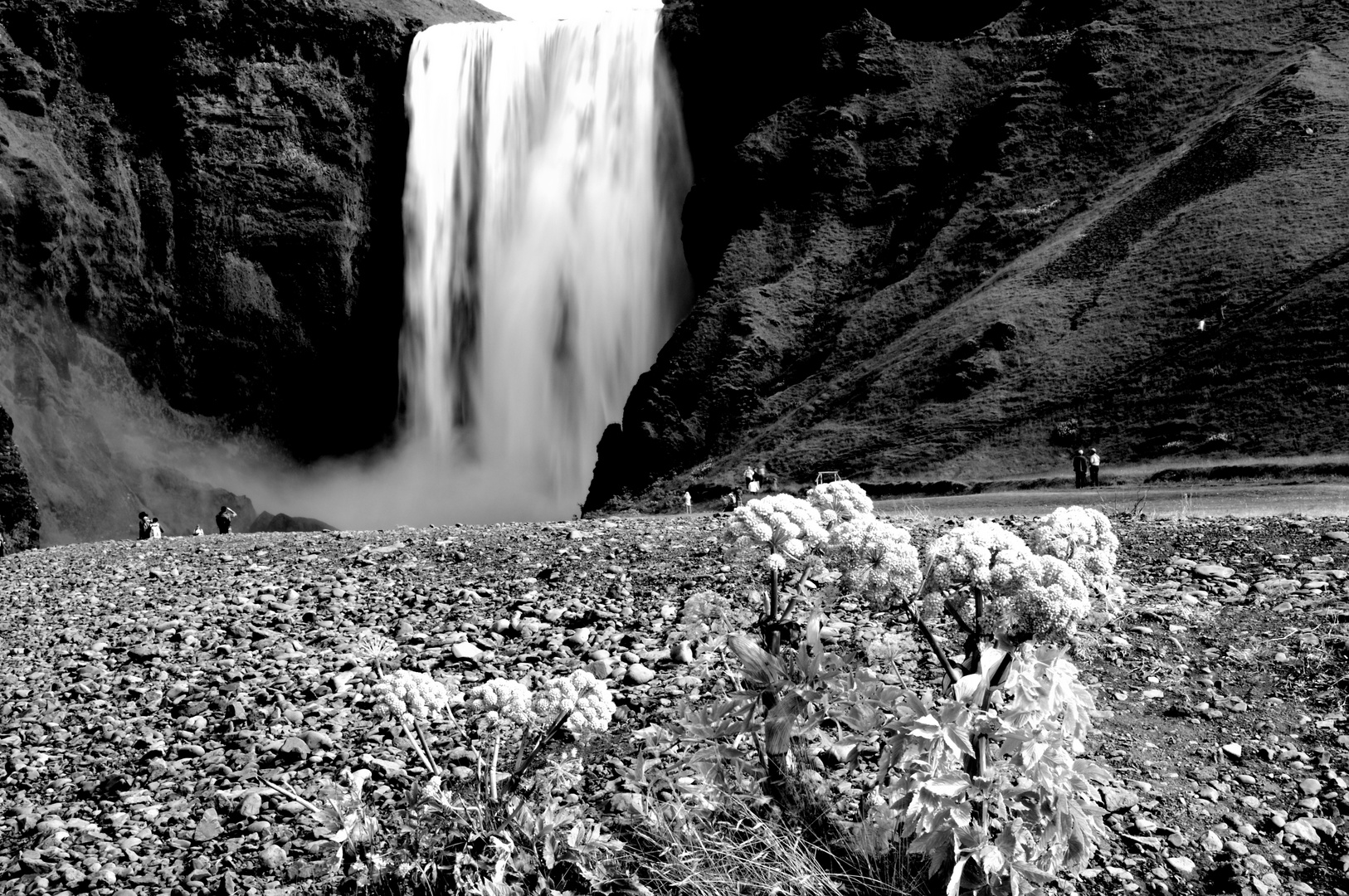 Skógafoss