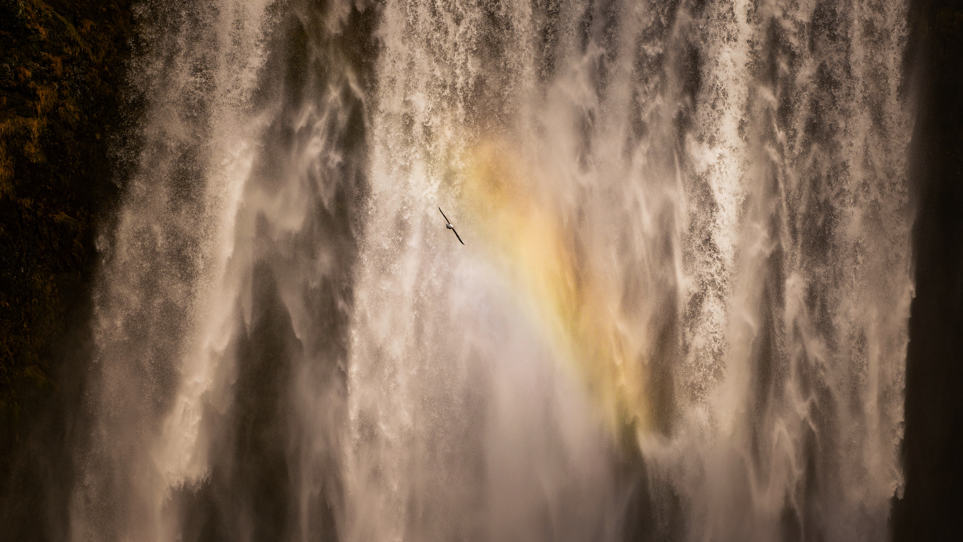 [skógafoss...]