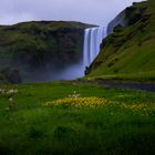 Skogafoss