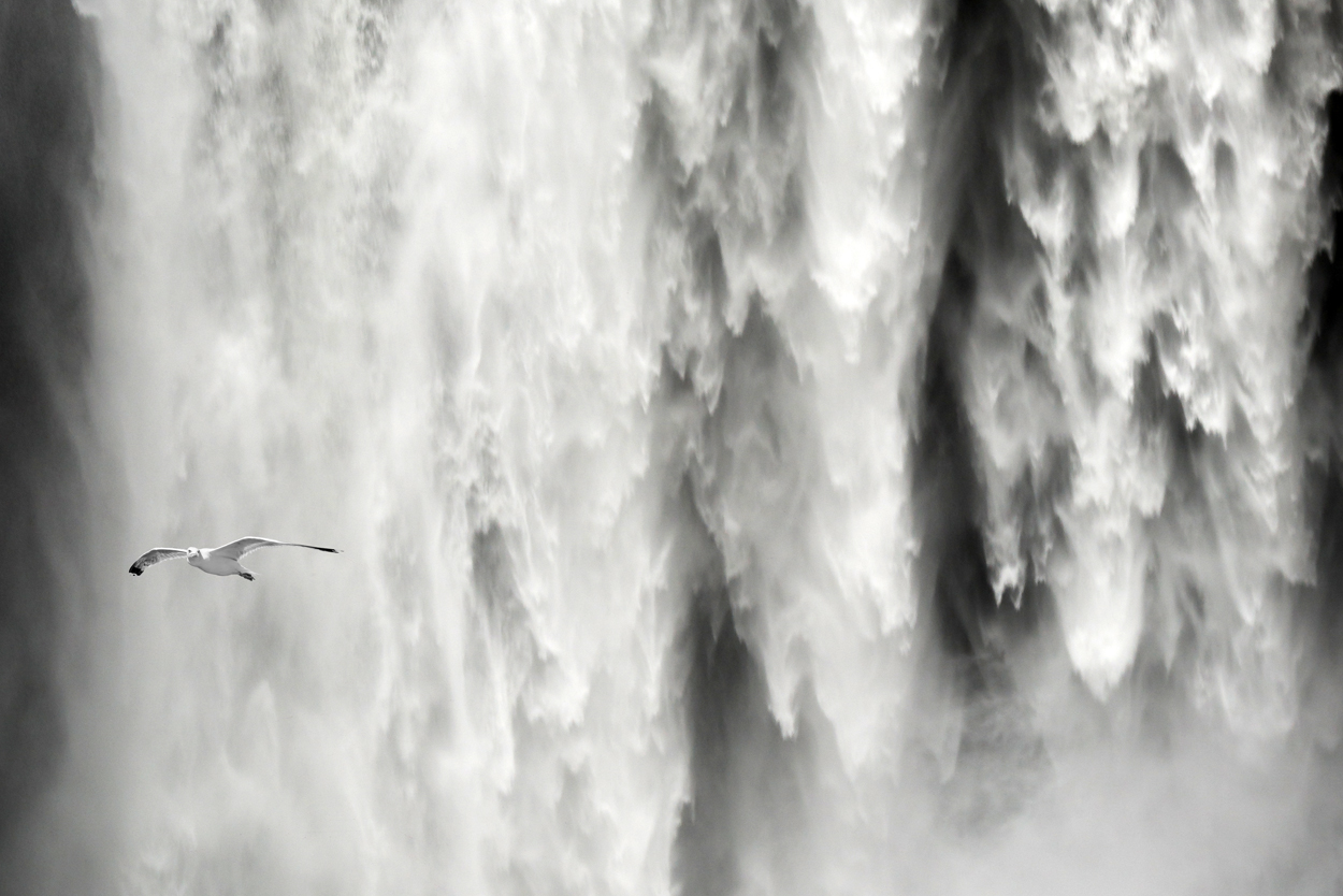 [ skogafoss ]