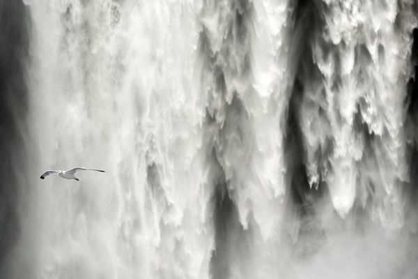 [ skogafoss ]