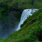 ~ skogafoss ~