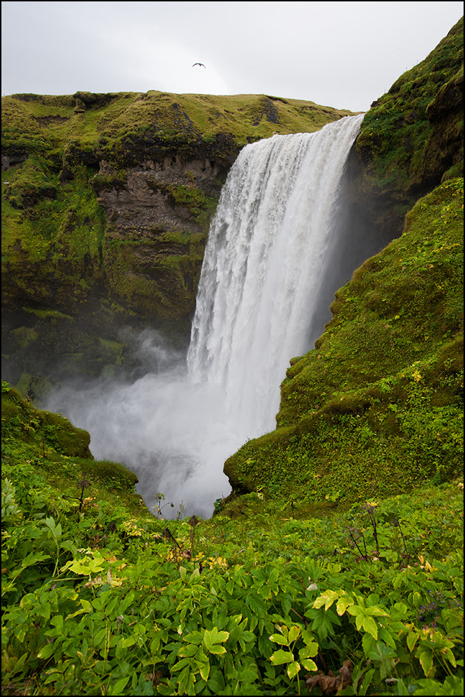 [ Skógafoss ]