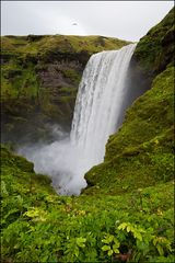 [ Skógafoss ]