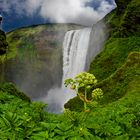 Skogafoss