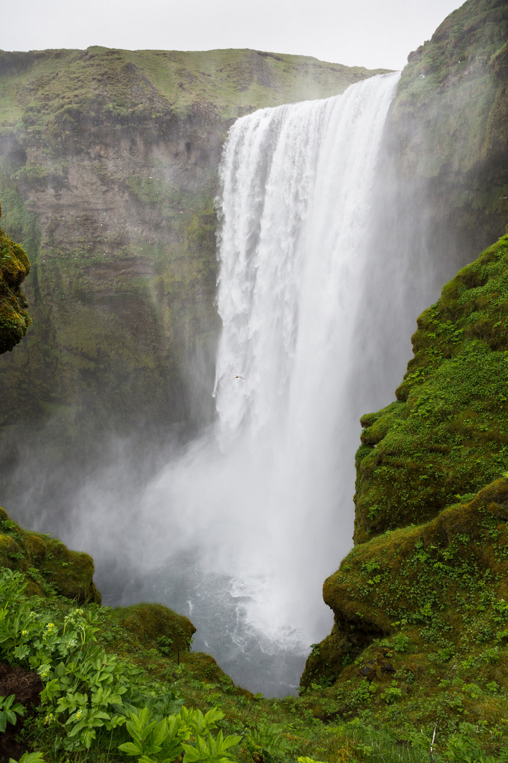 Skógafoss II