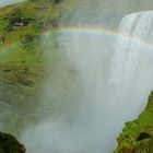 skógafoss und drei schafe