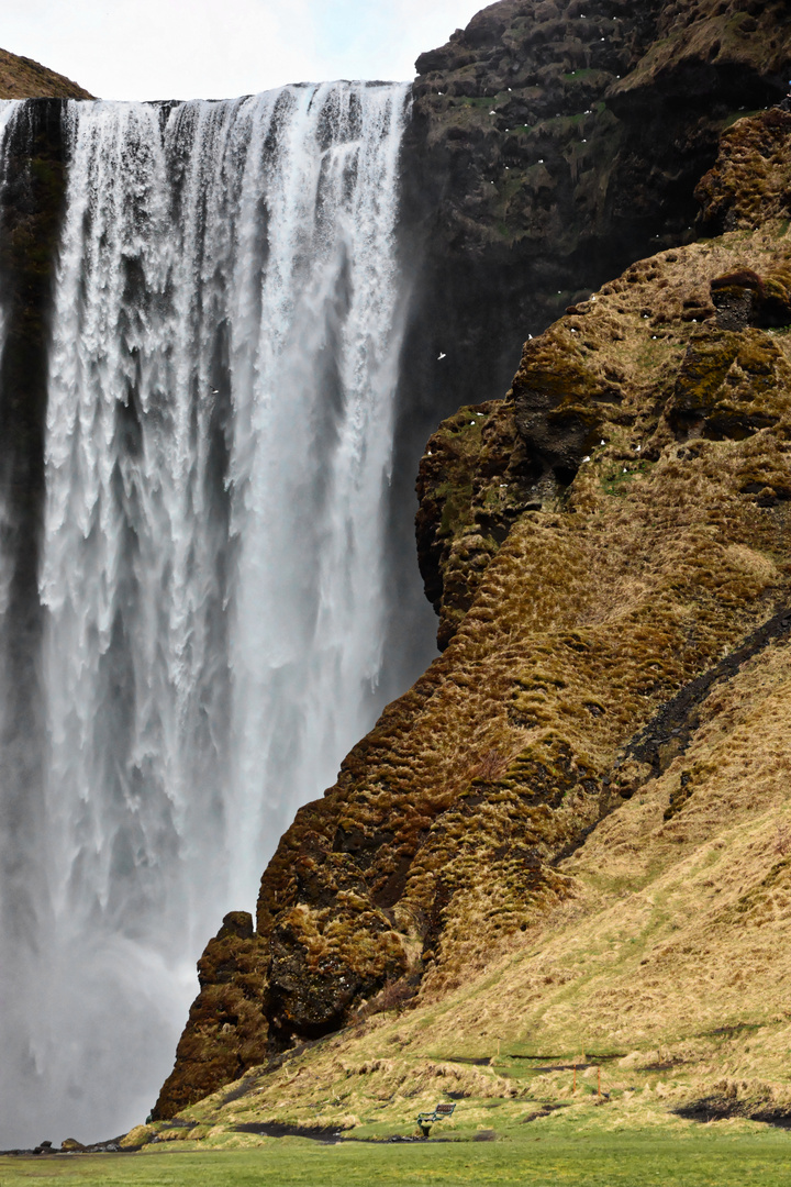 Skógarfoss