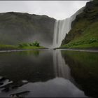 skogarfoss gespiegelt