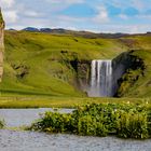 Skogarfoss Island