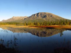 Skogshorn, Hemsedal