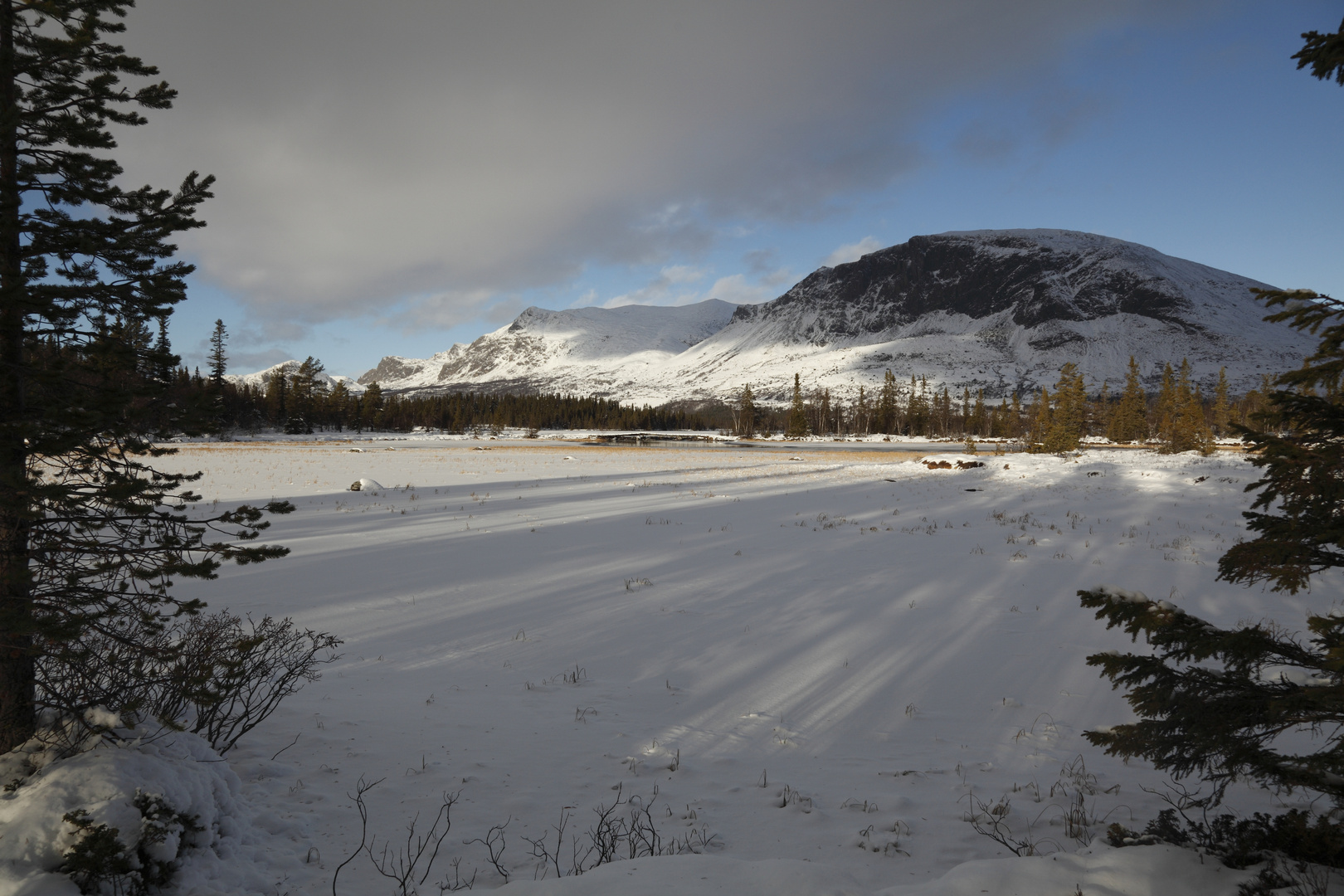 Skogshorn I