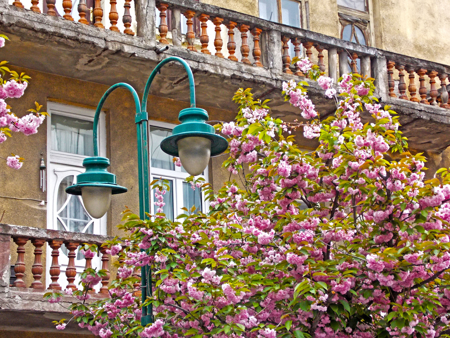 Skopje's spring