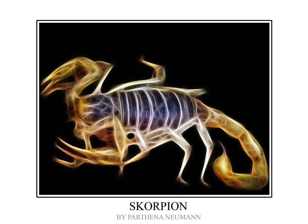 " Skorpion "