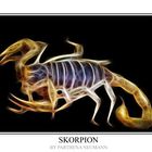 " Skorpion "