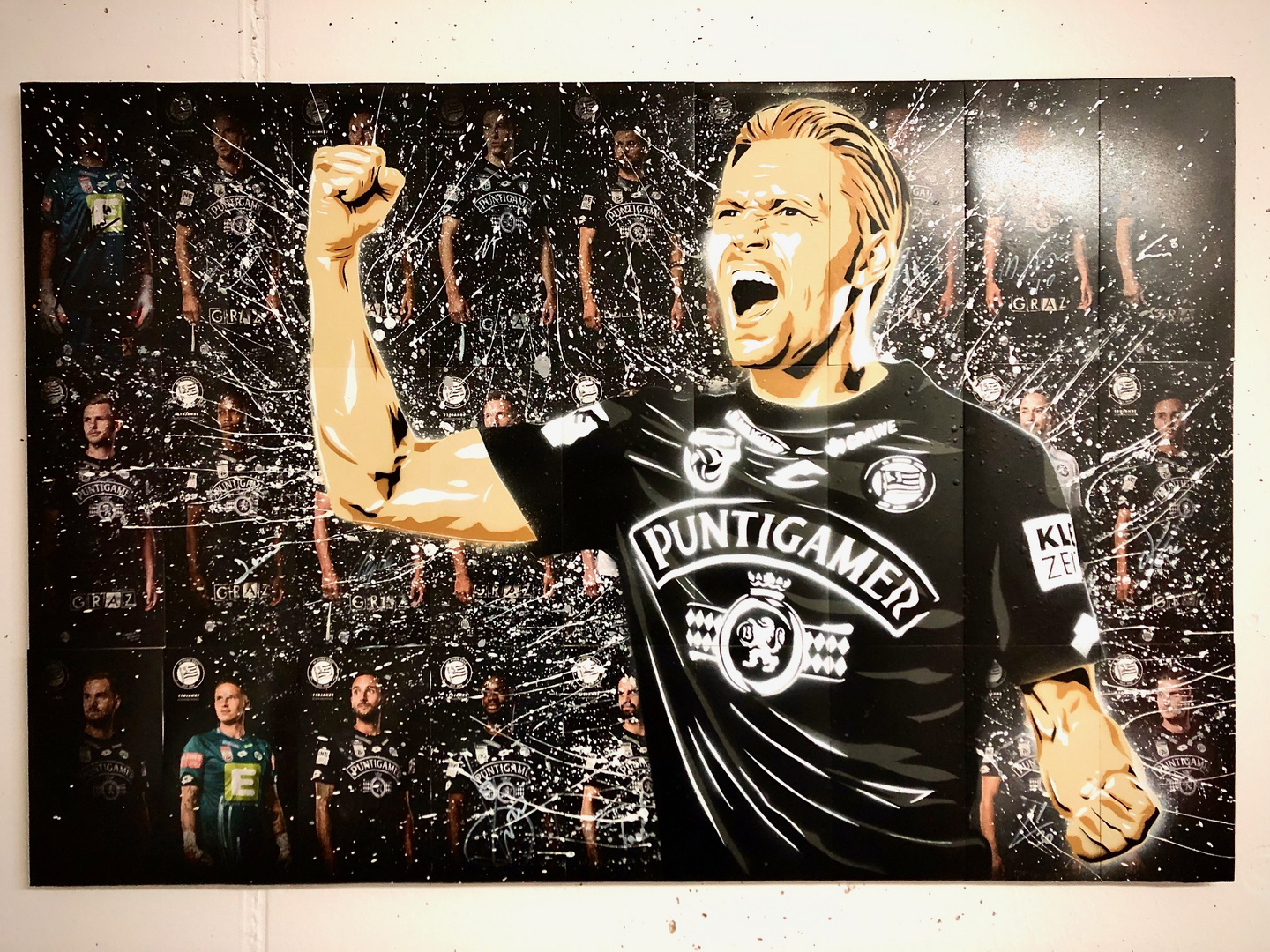 SkSturm Graz Leinwand