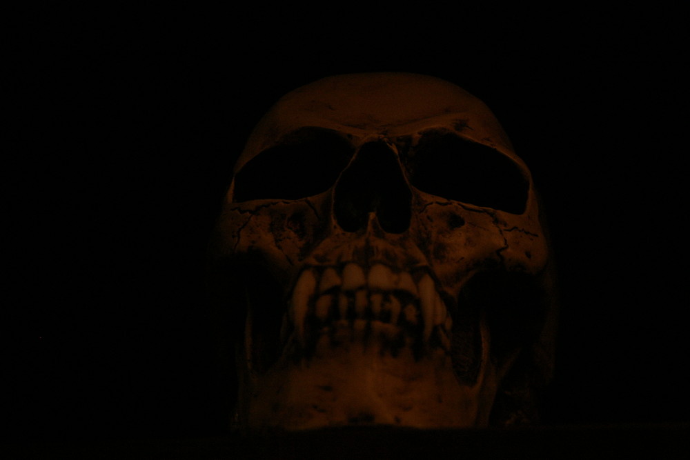 Skull