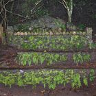 Skull altar in Trunyan cementry