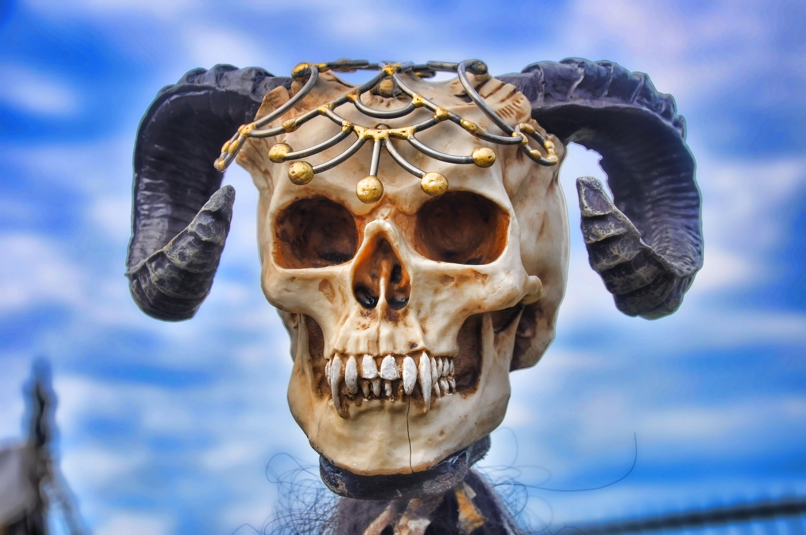 Skull auf dem Mittelalterlich Spectaculum