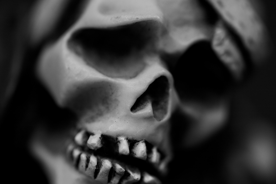 Skull