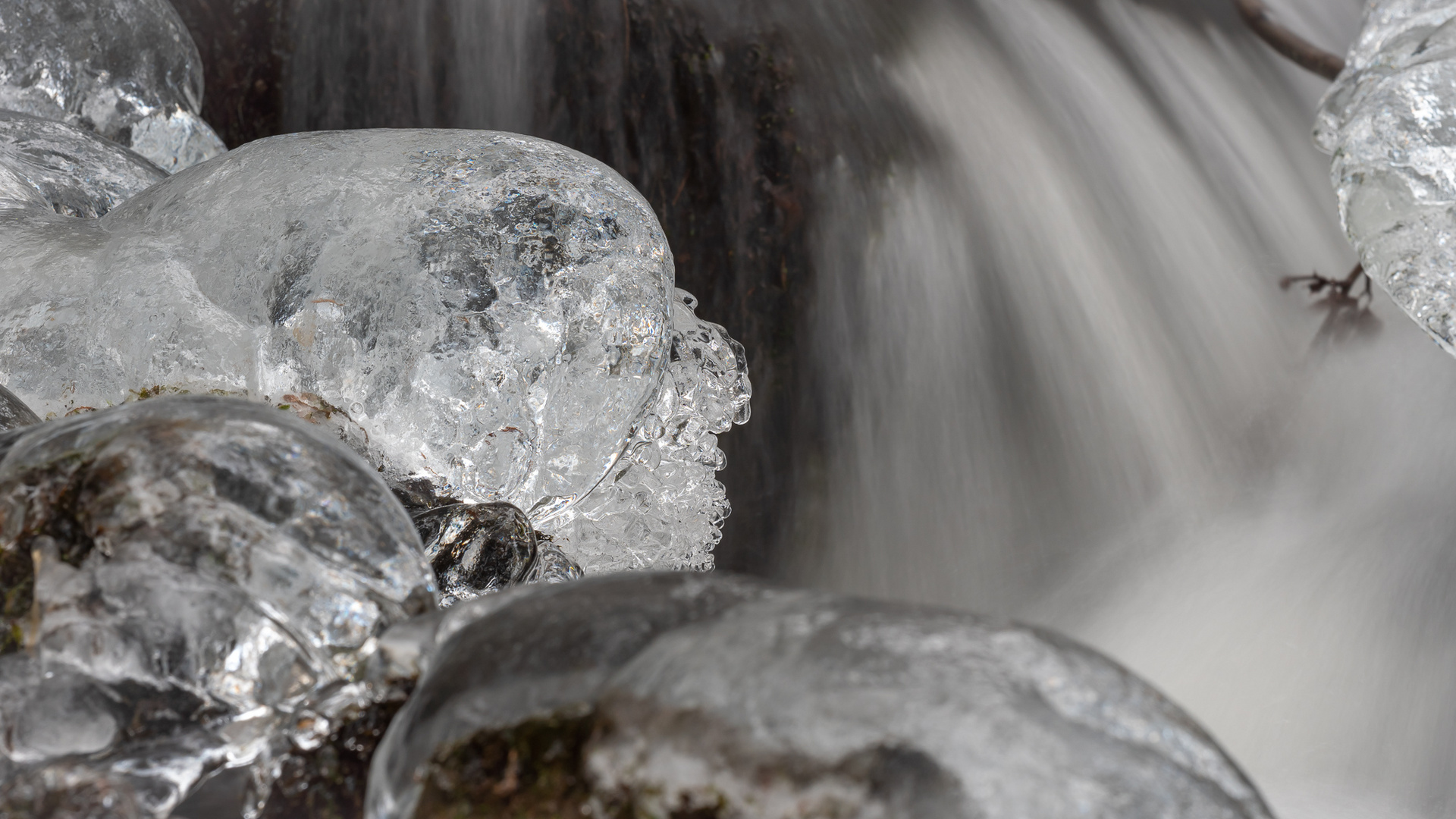 Skull of ice