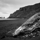 Skull on the beach