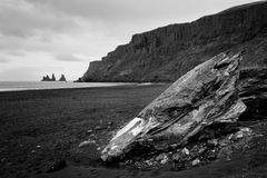 Skull on the beach