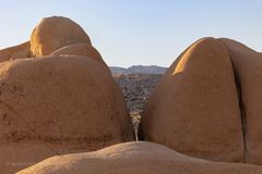 Skull Rock Joshua Tree National Park