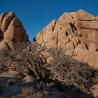 Skull Rock Trail